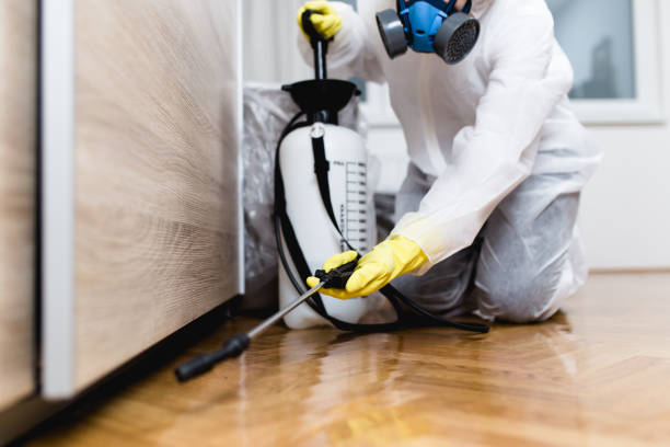 Best Best Pest Control Companies  in Pulaski, NY