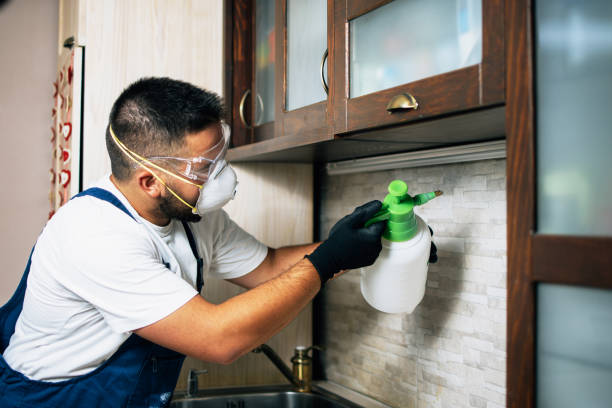 Best Best Pest Control Companies  in Pulaski, NY
