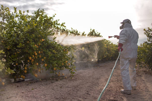 Best Commercial Pest Control Services  in Pulaski, NY