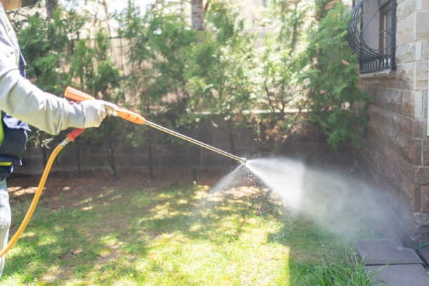 Trusted Pulaski, NY Pest Control Experts