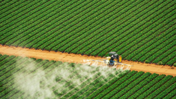 Best Pest Control for Homes  in Pulaski, NY