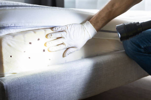 Pest Control for Restaurants in Pulaski, NY
