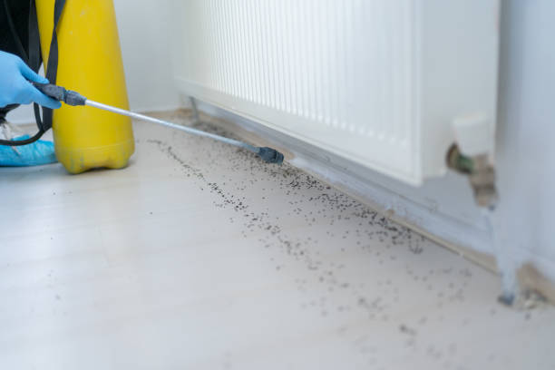 Best Bed Bug Extermination  in Pulaski, NY