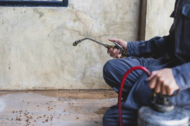 Best Pest Removal Services  in Pulaski, NY